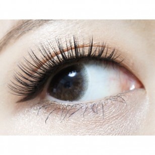 RICH STANDARD Premium MilanoKhaki 日抛10片裝